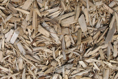 biomass boilers Kepdowrie